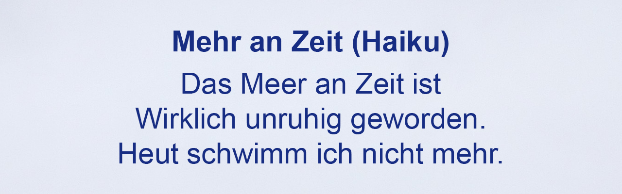 Galerie-Bild 7
